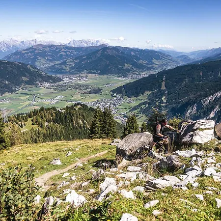 Alpine *